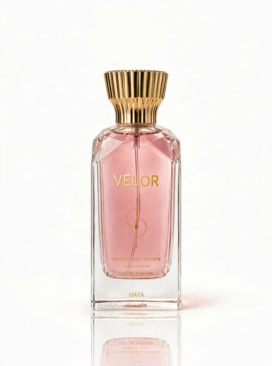 VELOR | فيلور