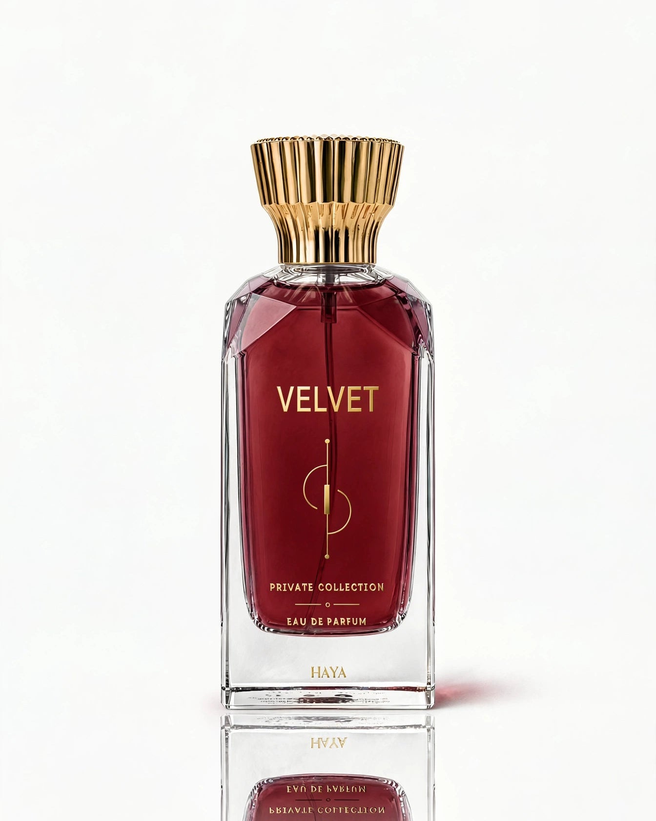 VELVET  | فيلفيت
