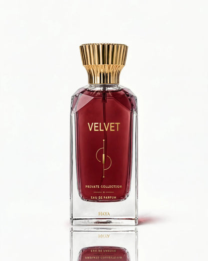 VELVET  | فيلفيت