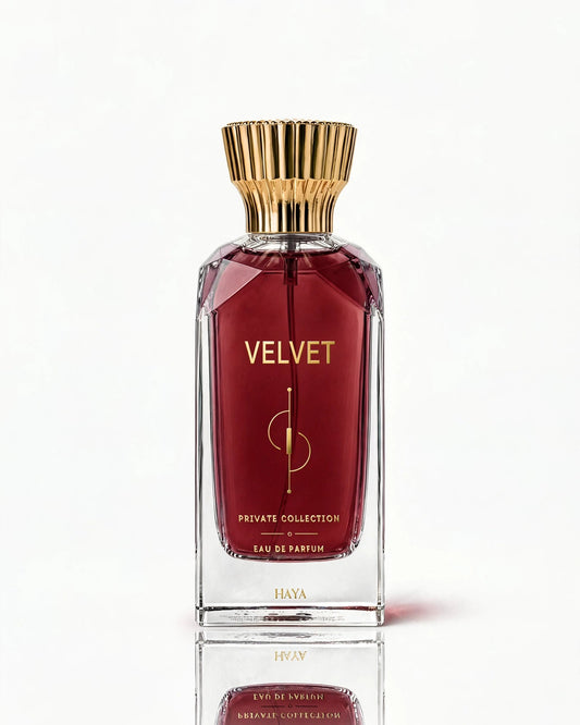 VELVET  | فيلفيت