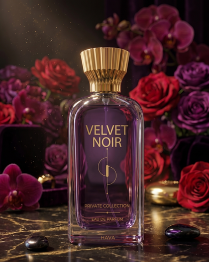 VELVET  | فيلفيت